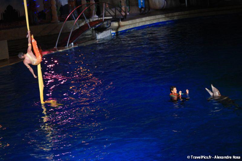 gal/Theme_Parks/Marineland/Dauphins/Marineland_Dauphins133.jpg