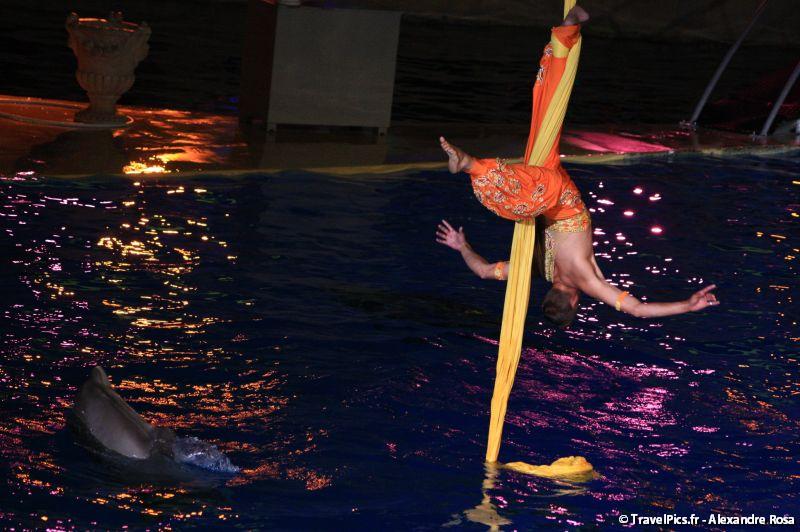 gal/Theme_Parks/Marineland/Dauphins/Marineland_Dauphins140.jpg