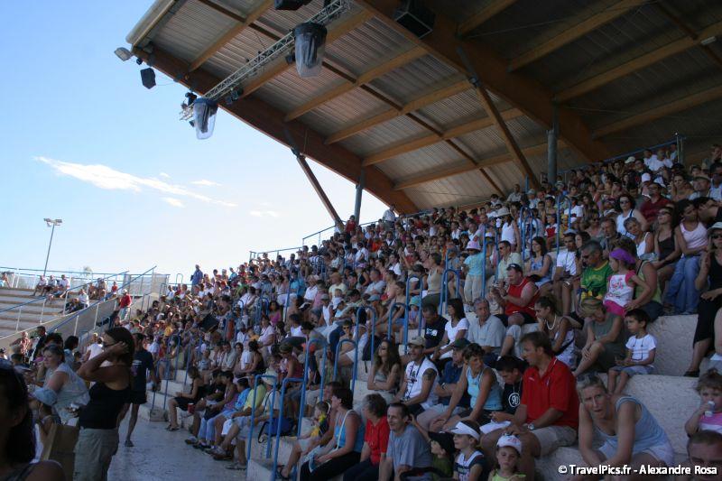 gal/Theme_Parks/Marineland/Dauphins/Marineland_Dauphins178.jpg