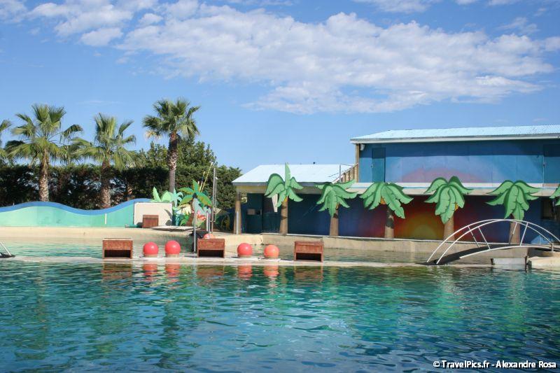 gal/Theme_Parks/Marineland/Dauphins/Marineland_Dauphins181.jpg