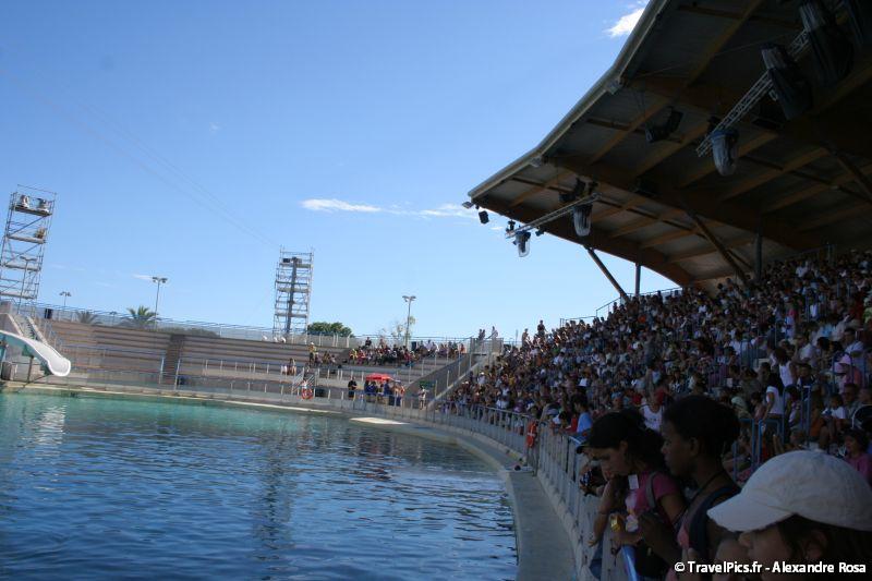 gal/Theme_Parks/Marineland/Dauphins/Marineland_Dauphins198.jpg