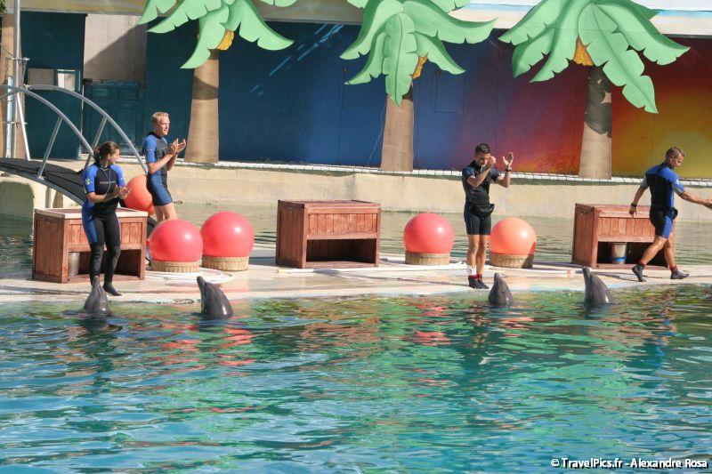 gal/Theme_Parks/Marineland/Dauphins/Marineland_Dauphins214.jpg