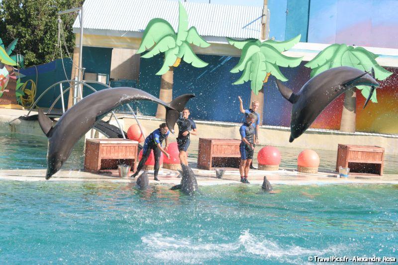 gal/Theme_Parks/Marineland/Dauphins/Marineland_Dauphins220.jpg