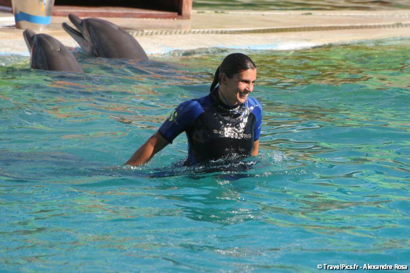 gal/Theme_Parks/Marineland/Dauphins/Marineland_Dauphins230.jpg