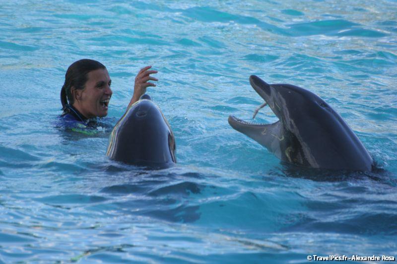 gal/Theme_Parks/Marineland/Dauphins/Marineland_Dauphins233.jpg
