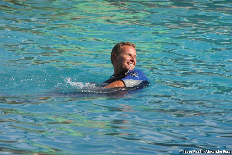 gal/Theme_Parks/Marineland/Dauphins/Marineland_Dauphins236.jpg