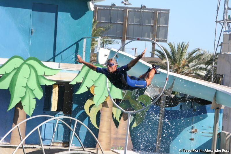 gal/Theme_Parks/Marineland/Dauphins/Marineland_Dauphins270.jpg