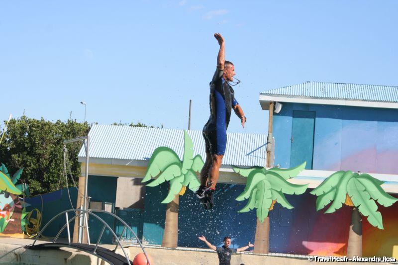 gal/Theme_Parks/Marineland/Dauphins/Marineland_Dauphins286.jpg