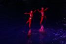 gal/Theme_Parks/Marineland/Dauphins/_thb_Marineland_Dauphins032.jpg