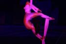 gal/Theme_Parks/Marineland/Dauphins/_thb_Marineland_Dauphins036.jpg