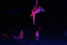 gal/Theme_Parks/Marineland/Dauphins/_thb_Marineland_Dauphins044.jpg