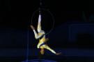 gal/Theme_Parks/Marineland/Dauphins/_thb_Marineland_Dauphins049.jpg