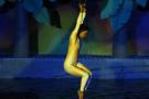 gal/Theme_Parks/Marineland/Dauphins/_thb_Marineland_Dauphins050.jpg