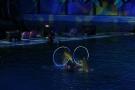 gal/Theme_Parks/Marineland/Dauphins/_thb_Marineland_Dauphins052.jpg