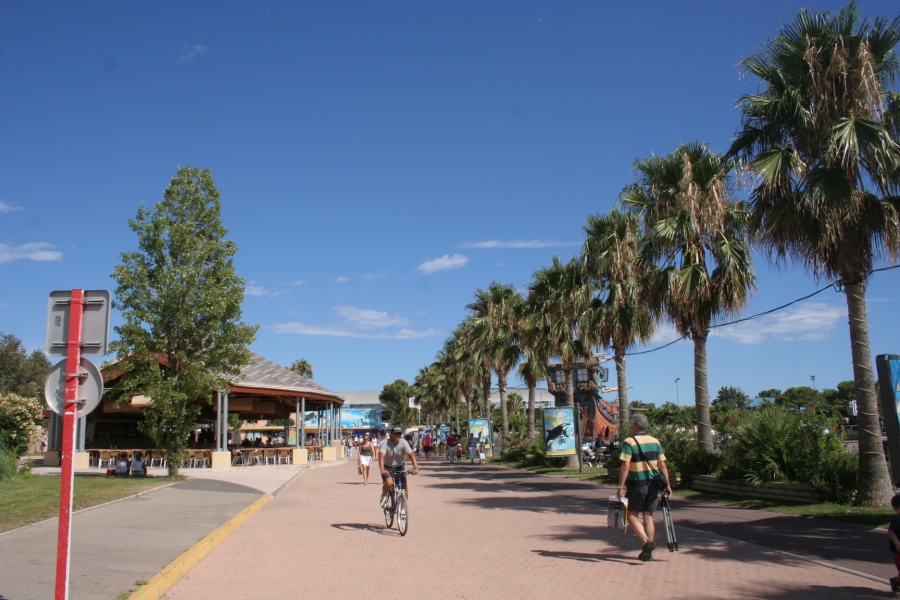 gal/Theme_Parks/Marineland/IMG_9464.JPG