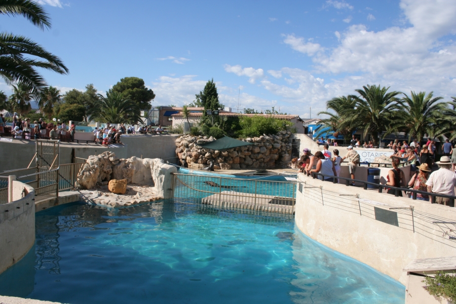 gal/Theme_Parks/Marineland/IMG_9579.JPG
