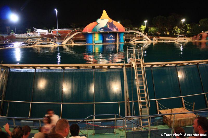 gal/Theme_Parks/Marineland/Orques/Marineland_Orques007.jpg