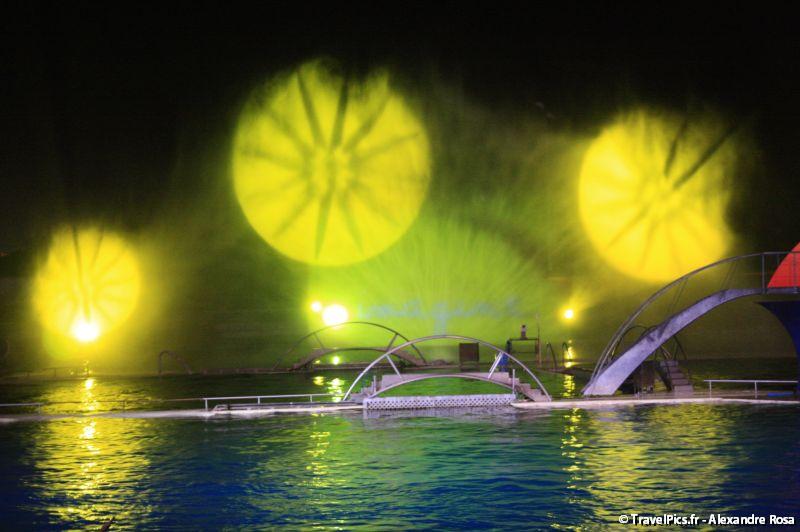 gal/Theme_Parks/Marineland/Orques/Marineland_Orques015.jpg