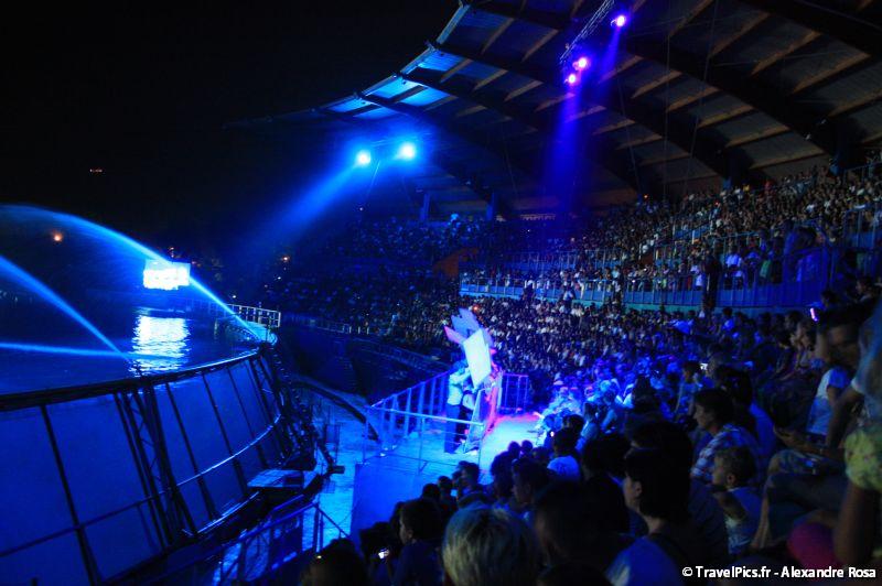gal/Theme_Parks/Marineland/Orques/Marineland_Orques029.jpg