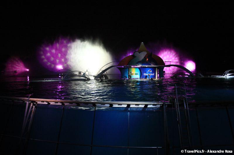 gal/Theme_Parks/Marineland/Orques/Marineland_Orques055.jpg