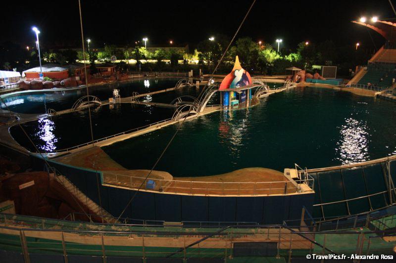 gal/Theme_Parks/Marineland/Orques/Marineland_Orques068.jpg