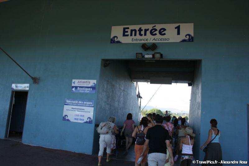 gal/Theme_Parks/Marineland/Orques/Marineland_Orques079.jpg