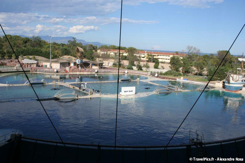 gal/Theme_Parks/Marineland/Orques/Marineland_Orques095.jpg