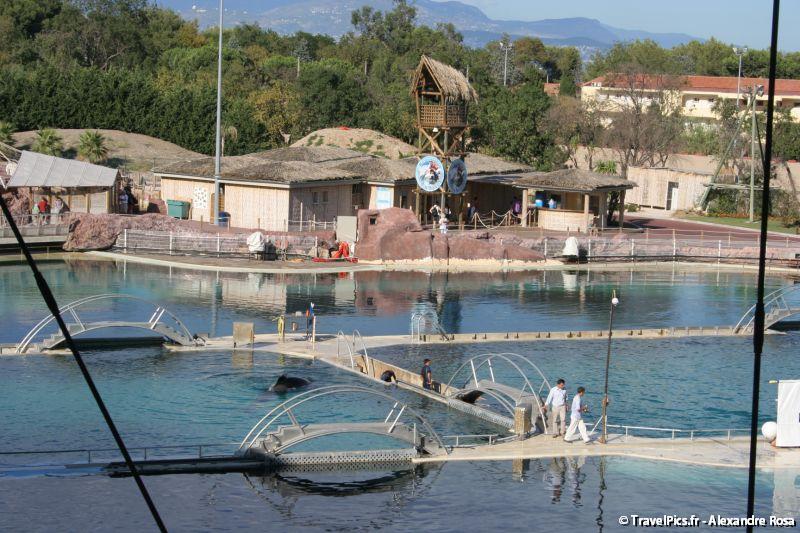 gal/Theme_Parks/Marineland/Orques/Marineland_Orques099.jpg