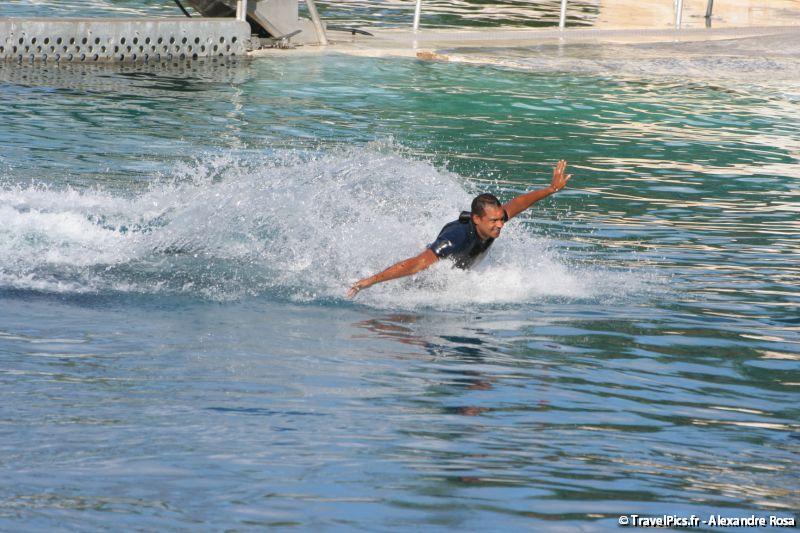 gal/Theme_Parks/Marineland/Orques/Marineland_Orques109.jpg