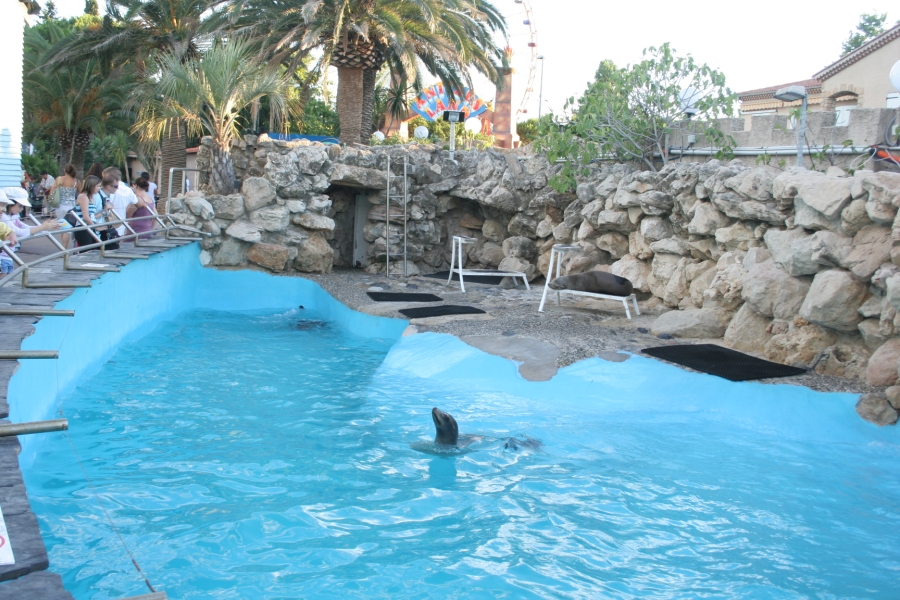 gal/Theme_Parks/Marineland/Otaries/IMG_0040.JPG