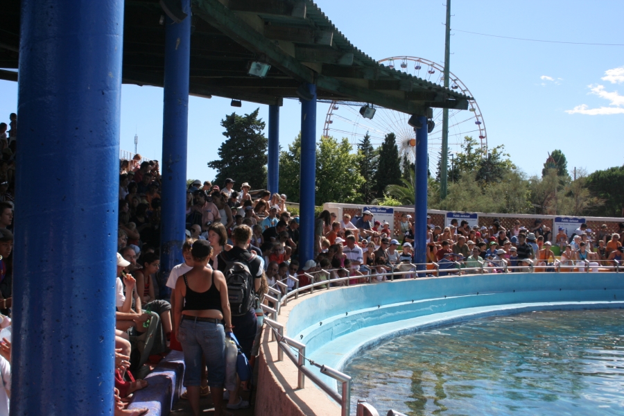 gal/Theme_Parks/Marineland/Otaries/IMG_9504.JPG