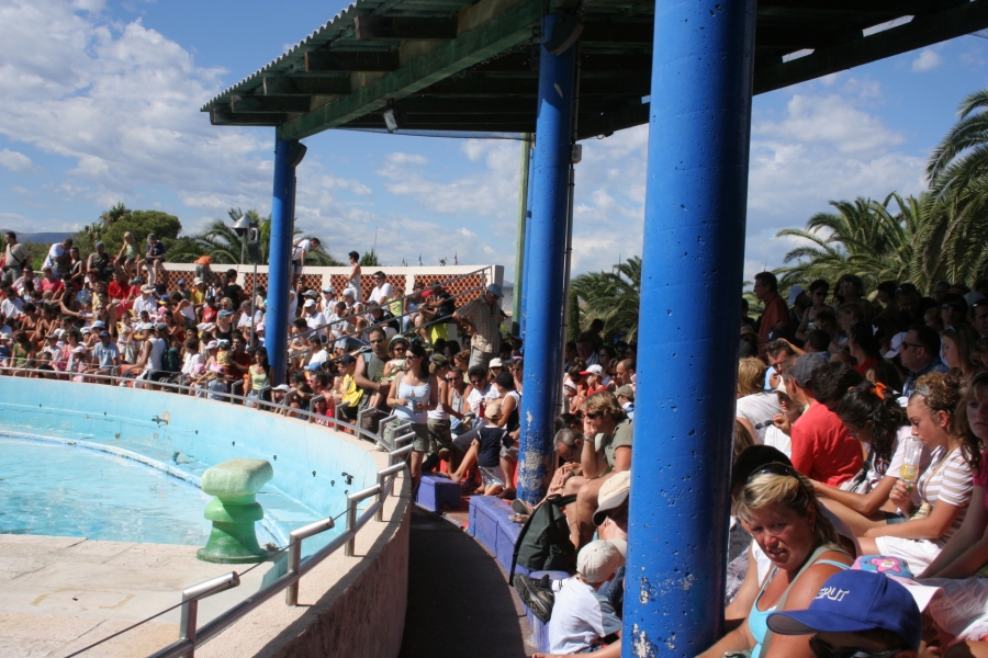gal/Theme_Parks/Marineland/Otaries/IMG_9510.JPG