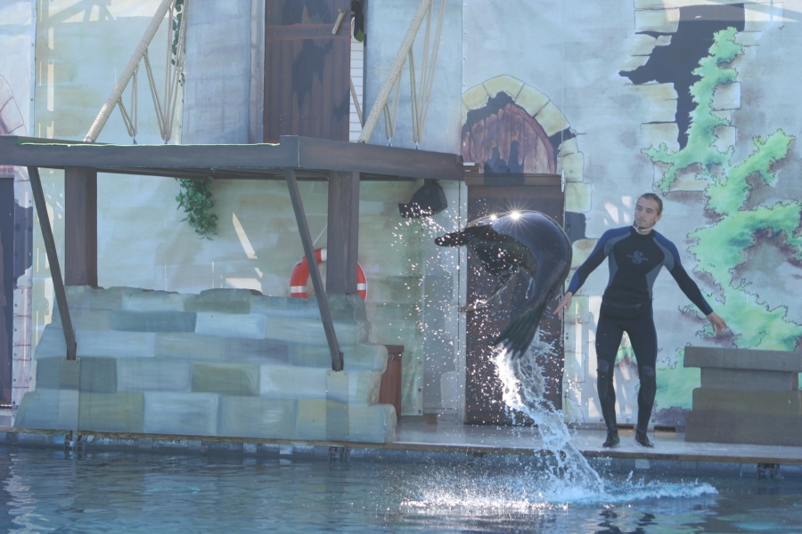 gal/Theme_Parks/Marineland/Otaries/IMG_9519.JPG