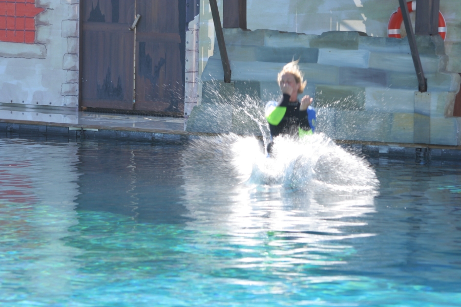 gal/Theme_Parks/Marineland/Otaries/IMG_9536.JPG