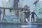 gal/Theme_Parks/Marineland/Otaries/_thb_IMG_9519.JPG