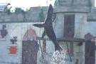 gal/Theme_Parks/Marineland/Otaries/_thb_IMG_9545.JPG