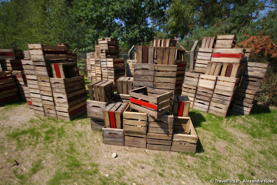 gal/Theme_Parks/Mer_de_Sable/Tiger_Express/Tiger-Express-Mer-de-Sable049.jpg