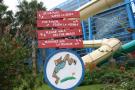 gal/Theme_Parks/Port_Aventura/Costa_Caribe_Aquatic_Parc/_thb_IMG_6546.JPG