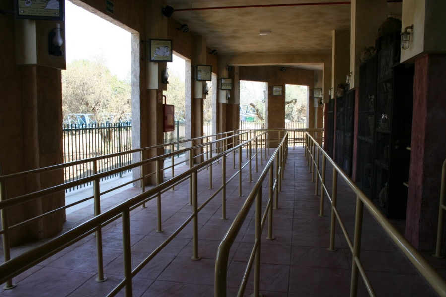gal/Theme_Parks/Port_Aventura/Furius_Baco/IMG_9421.JPG