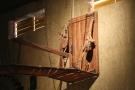 gal/Theme_Parks/Port_Aventura/Furius_Baco/Preshow/_thb_IMG_8798.JPG