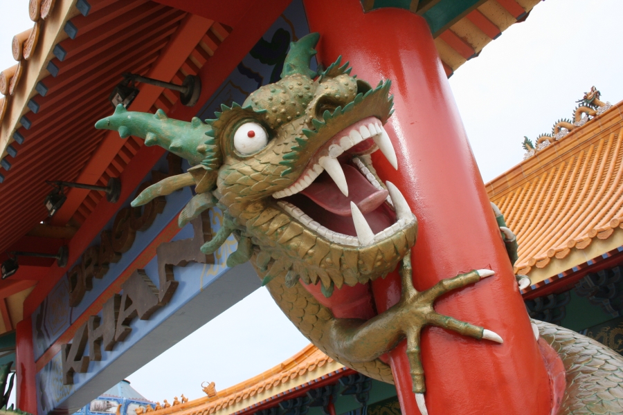 gal/Theme_Parks/Port_Aventura/Port_Aventura_Park_-_Chine/Dragon_Khan/IMG_5796.JPG