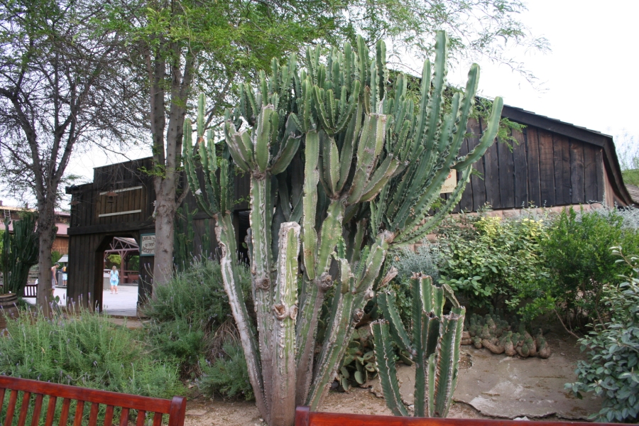 gal/Theme_Parks/Port_Aventura/Port_Aventura_Park_-_Farwest/IMG_6171.JPG