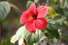 gal/Theme_Parks/Port_Aventura/Port_Aventura_Park_-_Polynesie/_thb_IMG_7173.JPG