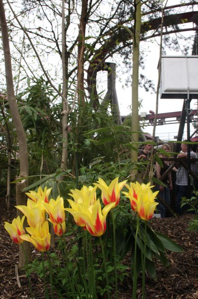 gal/Theme_Parks/Thorpe_Park/Nemesis_Inferno/Thorpe_Park_Nemesis63.jpg