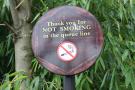 gal/Theme_Parks/Thorpe_Park/Nemesis_Inferno/_thb_Thorpe_Park_Nemesis31.jpg
