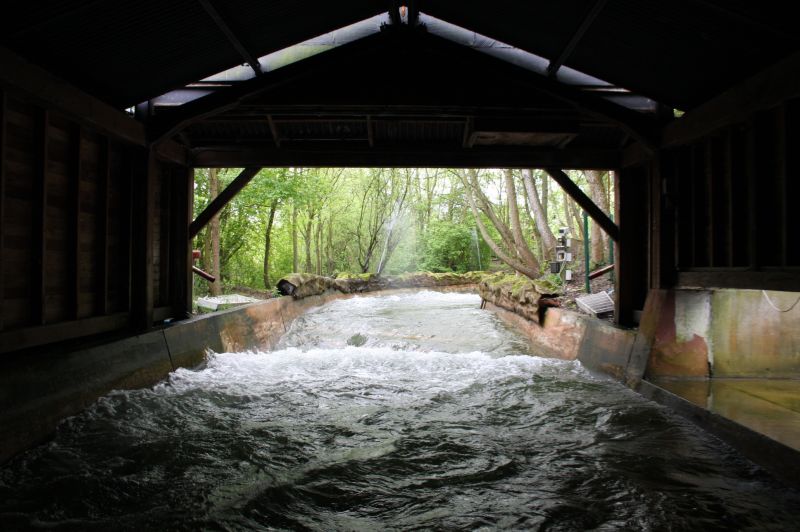 gal/Theme_Parks/Thorpe_Park/Rumba_Rapids/Thorpe_Park_Rumba_Rapids31.jpg