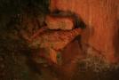 gal/Voyages/Angleterre/Bath/Roman_Baths/_thb_Roman_Bath_England250.jpg