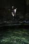 gal/Voyages/Angleterre/Bath/Roman_Baths/_thb_Roman_Bath_England270.jpg