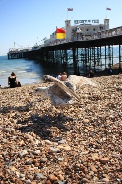 gal/Voyages/Angleterre/Brighton/Brighton128.jpg