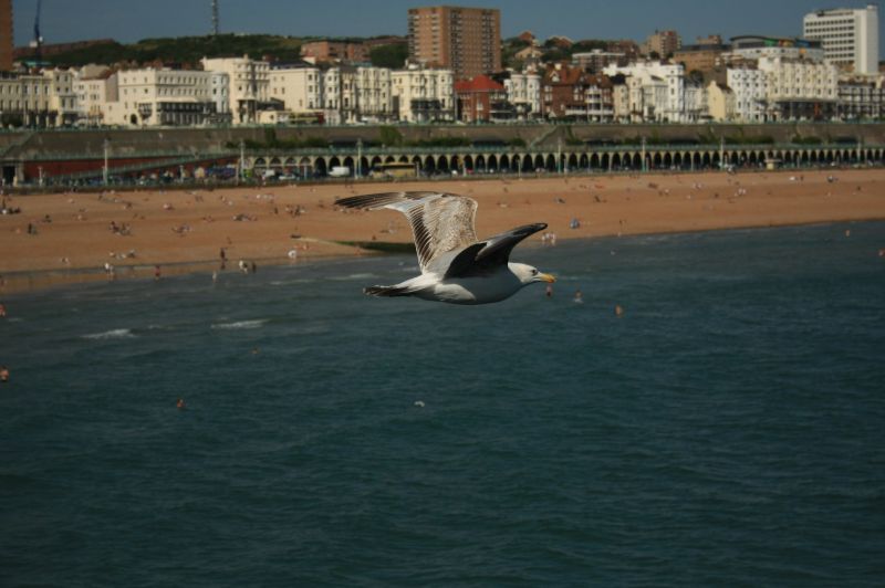 gal/Voyages/Angleterre/Brighton/Brighton158.jpg
